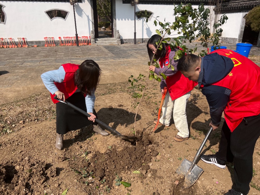 WechatIMG326.jpg WechatIMG326.jpg